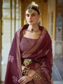 Rajgharanaa Banarasi Wedding Look in Saree