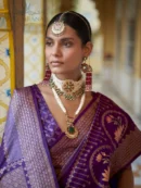 Rajgharanaa Banarasi Party Wear Saree Look