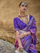 Rajgharanaa banarasi patola saree