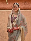 Rajgharanaa organza saree party wear