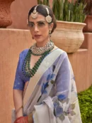 Rajgharanaa organza saree silk