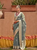 Rajgharanaa pure organza saree