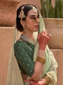 Rajgharanaa banarasi organza