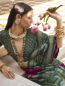 Rajgharanaa saree for women