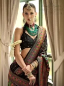 Rajgharanaa Black Party Sarees