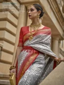 Rajgharanaa bridal saree