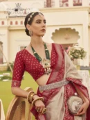 Rajgharanaa saree for bride for reception