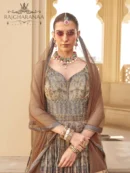 Rajgharanaa couple matching lehenga and sherwani