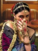 Rajgharanaa sambalpuri pata saree