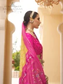 Rajgharanaa saree for wedding party