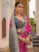 Rajgharanaa saree for wedding reception