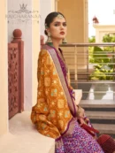 Rajgharanaa multicolour saree