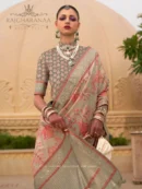 Rajgharanaa saree look for wedding party