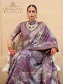 Rajgharanaa Reception Patola Sari Look