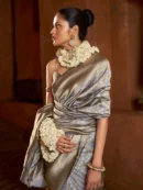 Rajgharanaa Banarasi Modern Sarees