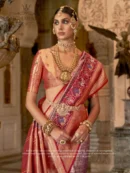 Rajgharanaa kanchivaram silk sarees