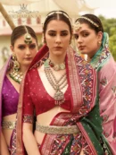 Rajgharanaa fancy patola blouse design Sarees