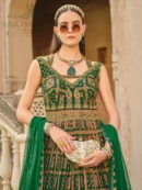 Rajgharanaa party wear dresses for women