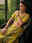 Rajgharanaa yellow lehanga choli