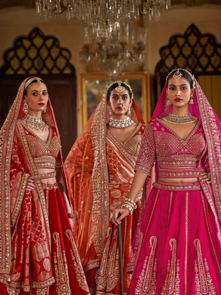 Rajgharanaa Latest Blouse Designs for Lehenga Choli