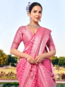 Rajgharanaa Fancy Party Wear Saree