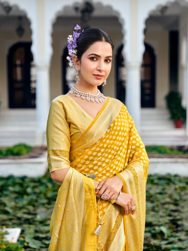 Rajgharanaa Elegant Fancy Saree