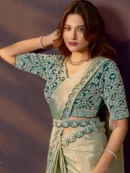 Rajgharanaa saree for ladies party wear