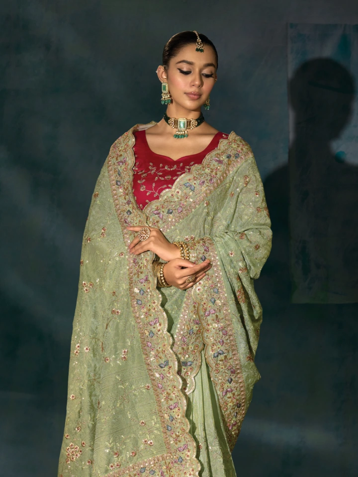 Rajgharanaa party wear saree for wedding