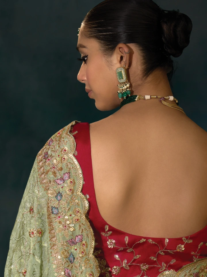 Rajgharanaa party wear saree for wedding