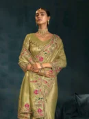 Rajgharanaa party saree for wedding