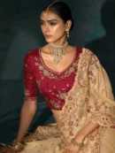 Rajgharanaa party saree blouse designs