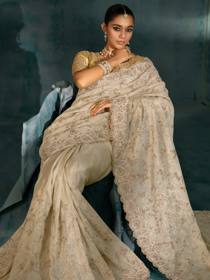 Rajgharanaa Cream colour saree party wear 4 Rajgharanaa Cream colour saree party wear