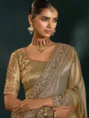 Rajgharanaa saree for farewell party