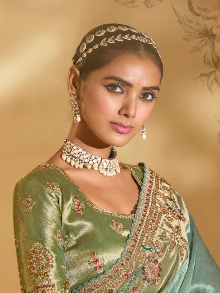 Rajgharanaa saree for wedding party