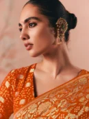 Rajgharanaa engagement look in saree