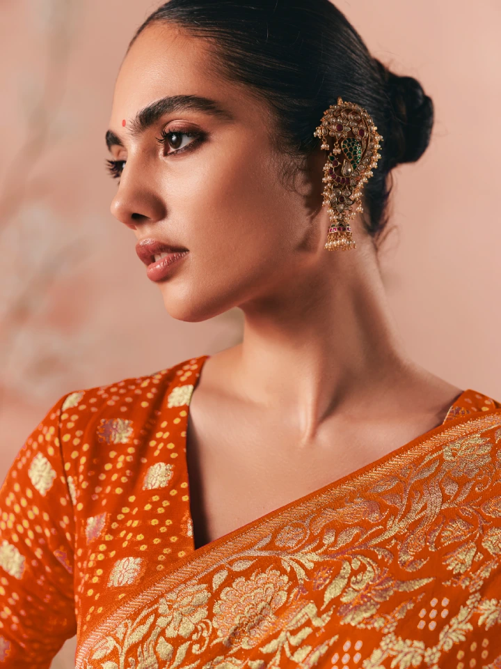 Rajgharanaa engagement look in saree