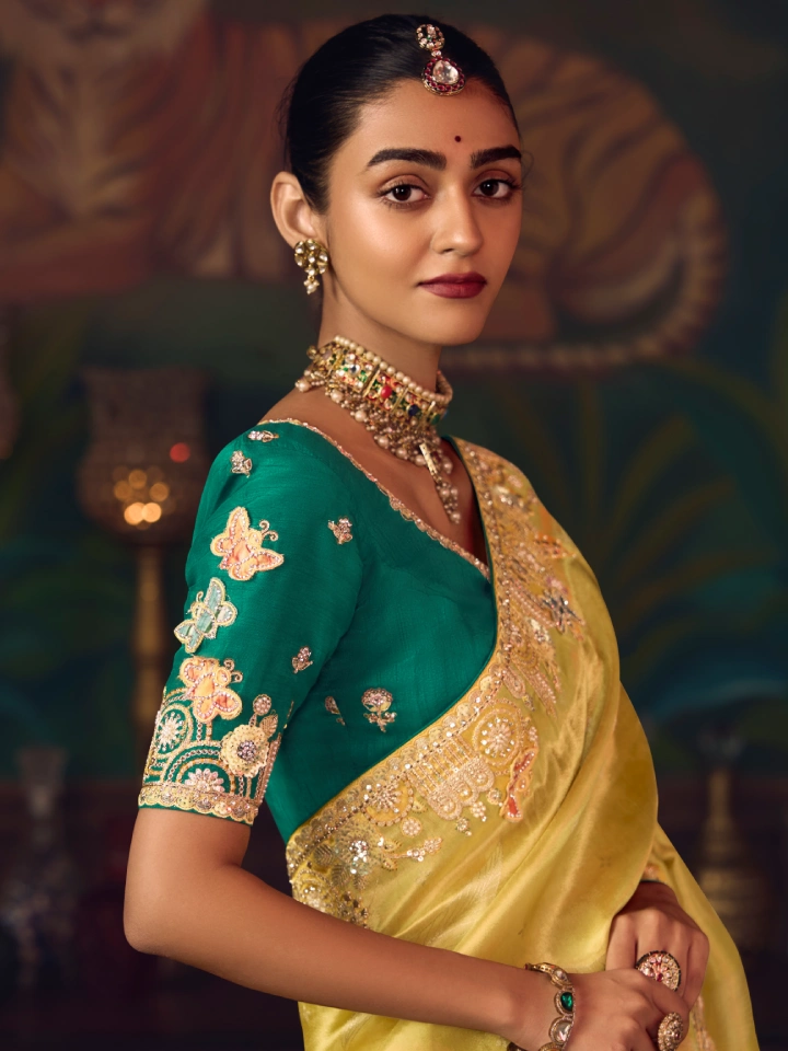 Rajgharanaa fancy saree party