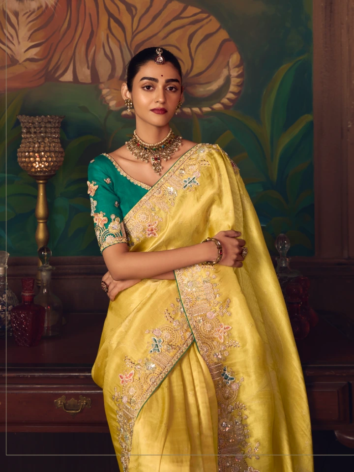 Rajgharanaa fancy saree party