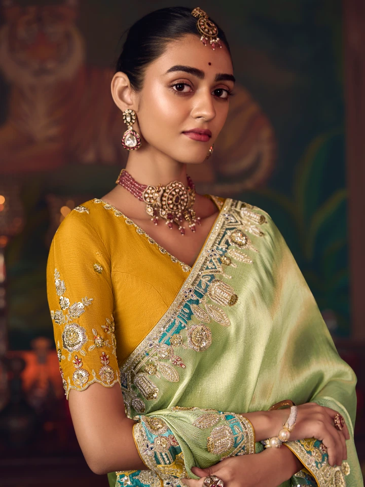 Rajgharanaa party Green saree